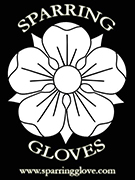 sparring-gloves